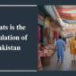 Whats is the Population of Pakistan min 85x85