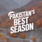 Autumn_In_Pakistan_Awaits_16be43eb 2978 47a6 be36 4a5120d3928c 85x85