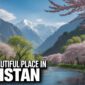 Hunza_Valley's_Spring_Beauty_ec283eac-ad0c-4a4e-931e-35ce9996e1ae