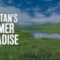 best time to visit Deosai min 85x85