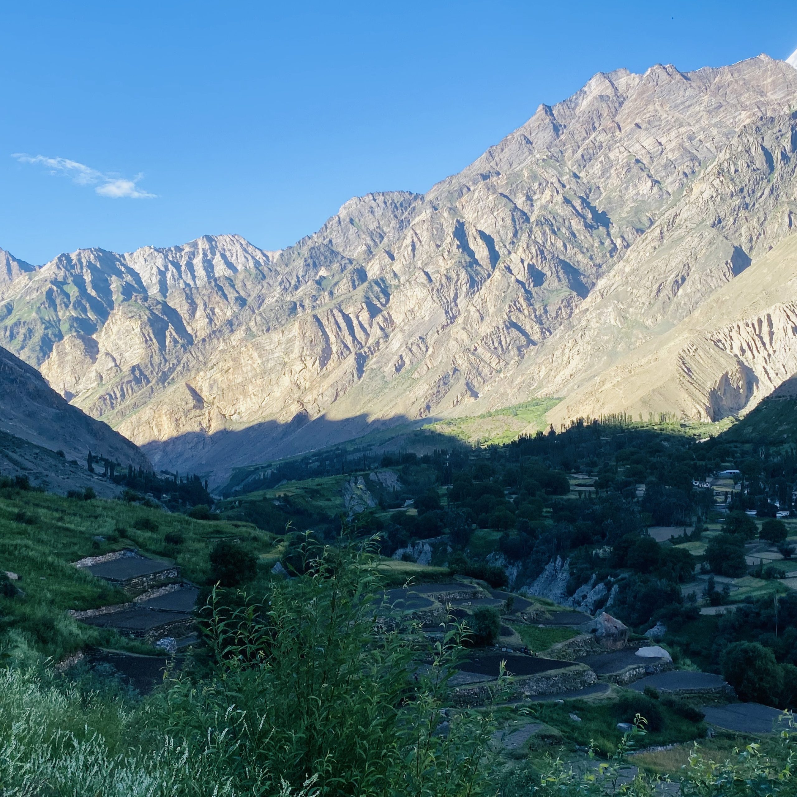 Basha Meadows-min