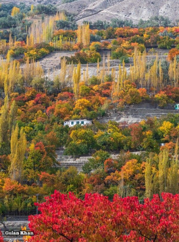 Ghanche District-min