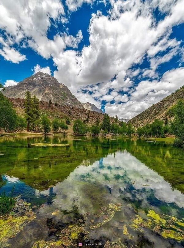 Naltar Valley-min