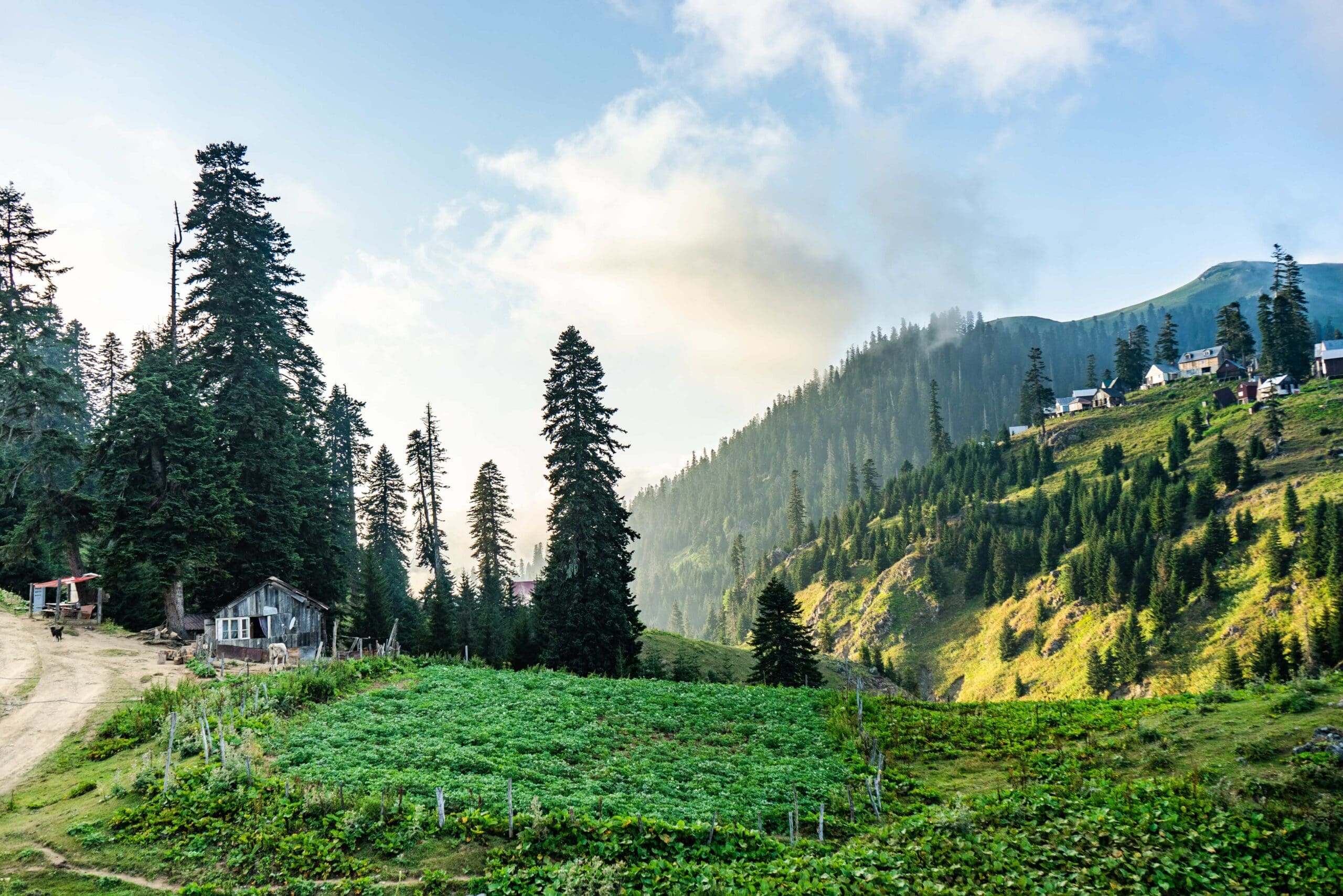 Nathia-Gali-scaled-min