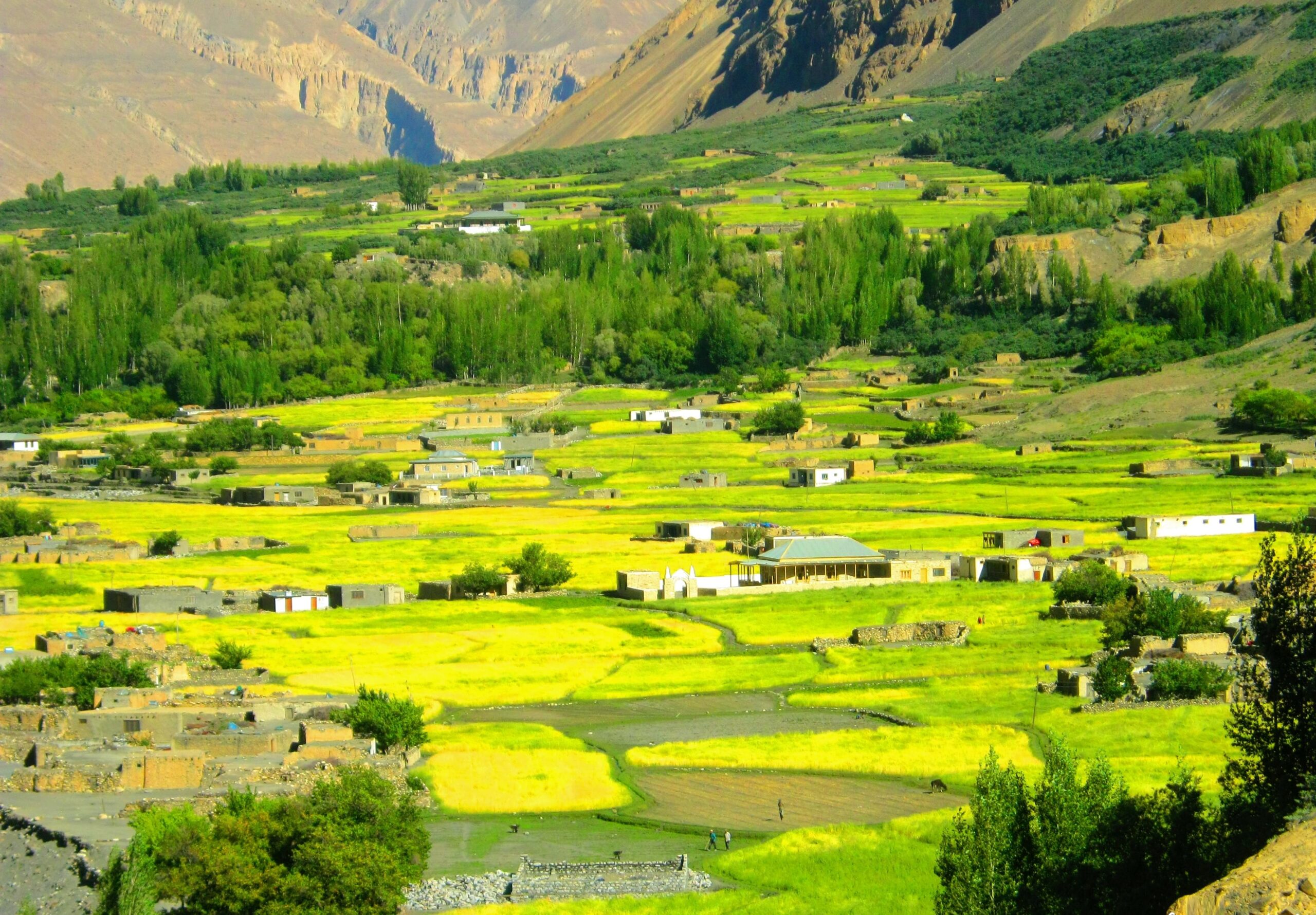 Shimshal Valley-min