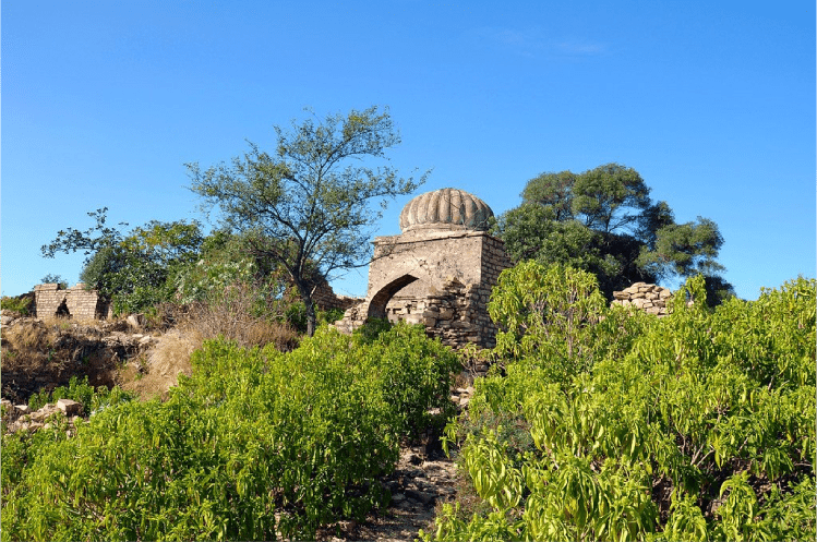 Tilla Jogian