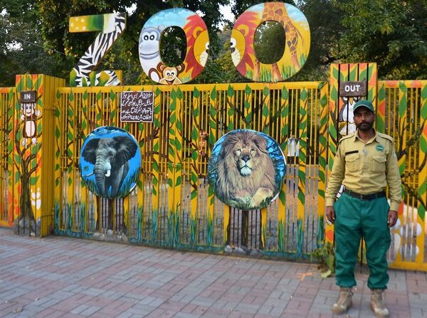 lahore-zoo