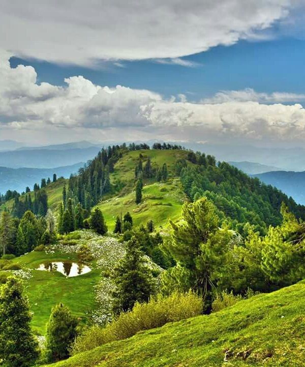 mushkpuri-min