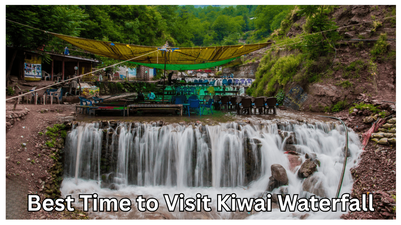 Best Time to Visit Kiwai Waterfall-min